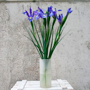 ramo de iris