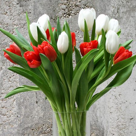 ramo de tulipanes