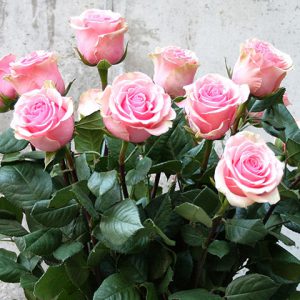 ramo de rosas rosas