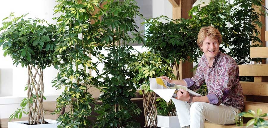 Los beneficios de las plantas en el hogar y en la oficina en otoño e invierno
