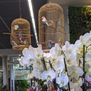 Decoración navideña Bourguignon con centros de orquídeas y jaulas de pájaros decorativas