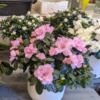 centros de azaleas rosas y blancas para una decoración de hogar navideña